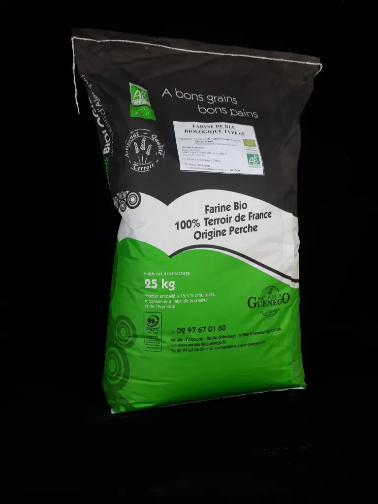 Flour Organic T80
