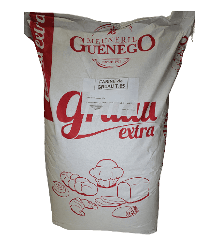 [INGRUA2] Strong Flour T65